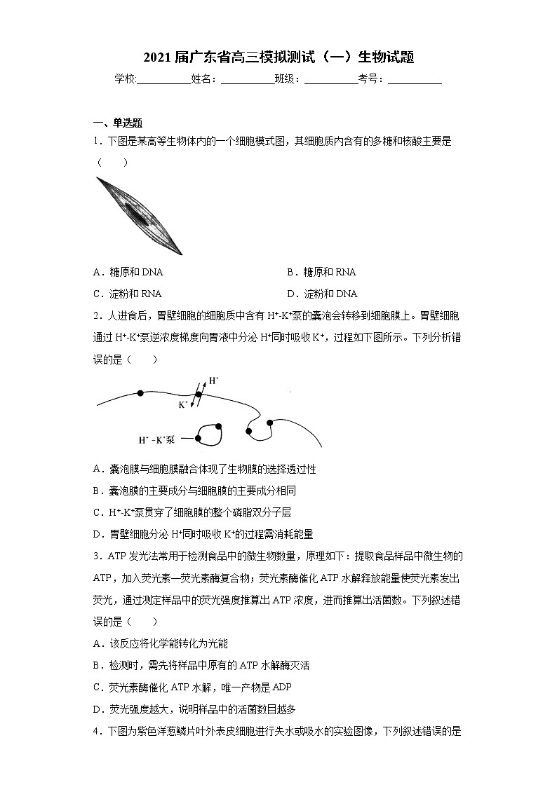 2021届广东省高三模拟测试（一）生物试题（word版 含答案）第1页