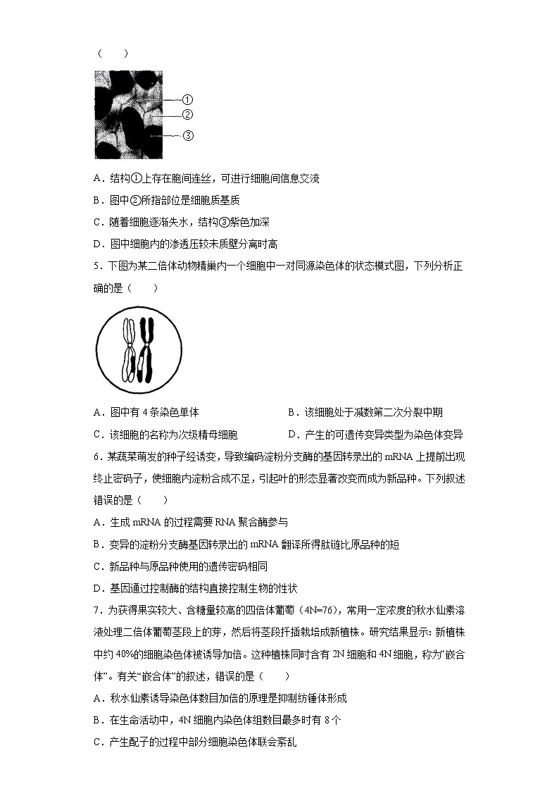 2021届广东省高三模拟测试（一）生物试题（word版 含答案）第2页