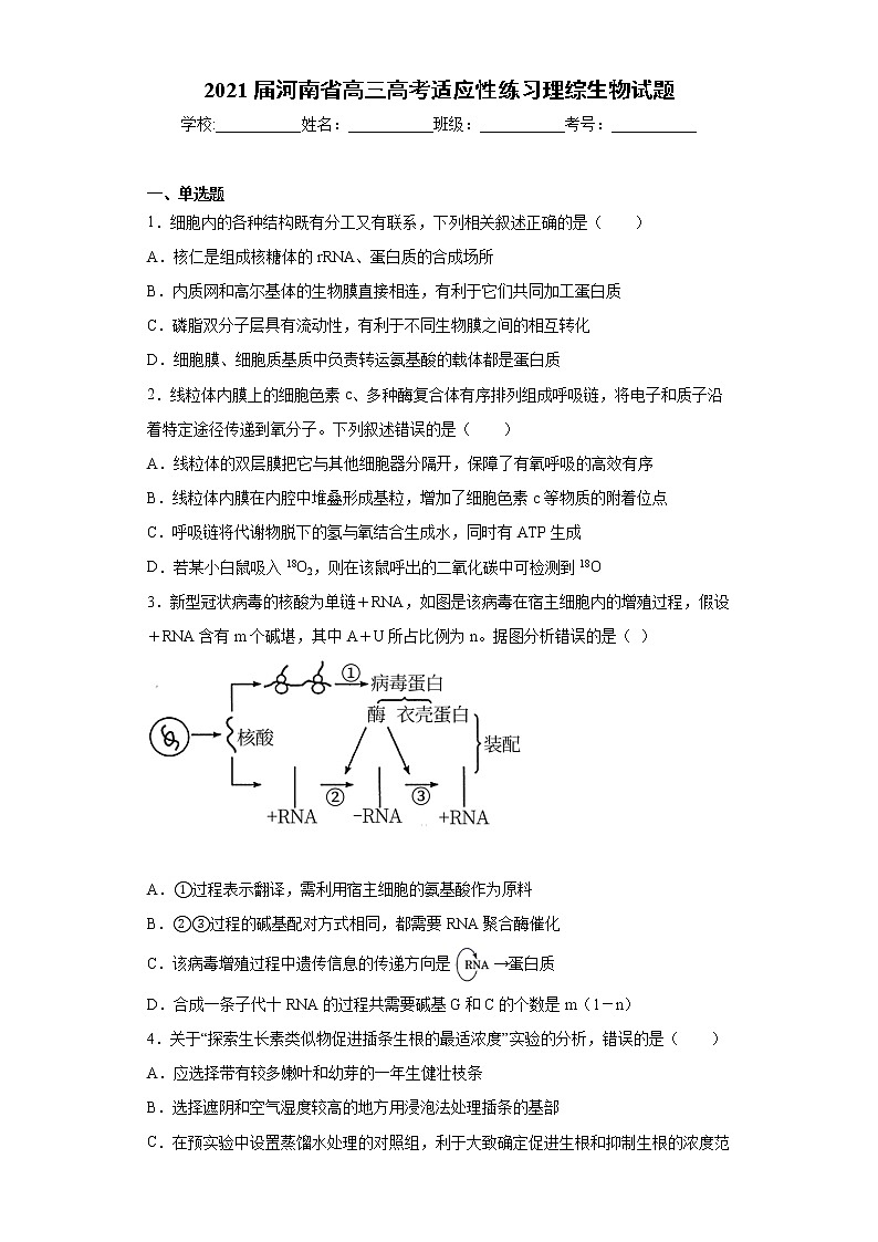 2021届河南省高三高考适应性练习理综生物试题（word版 含答案）01