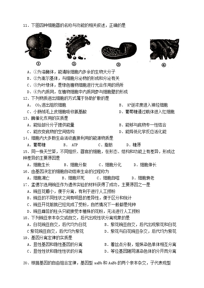江苏省连云港市2021年普通高中学业水平合格性考试模拟考试生物试题03