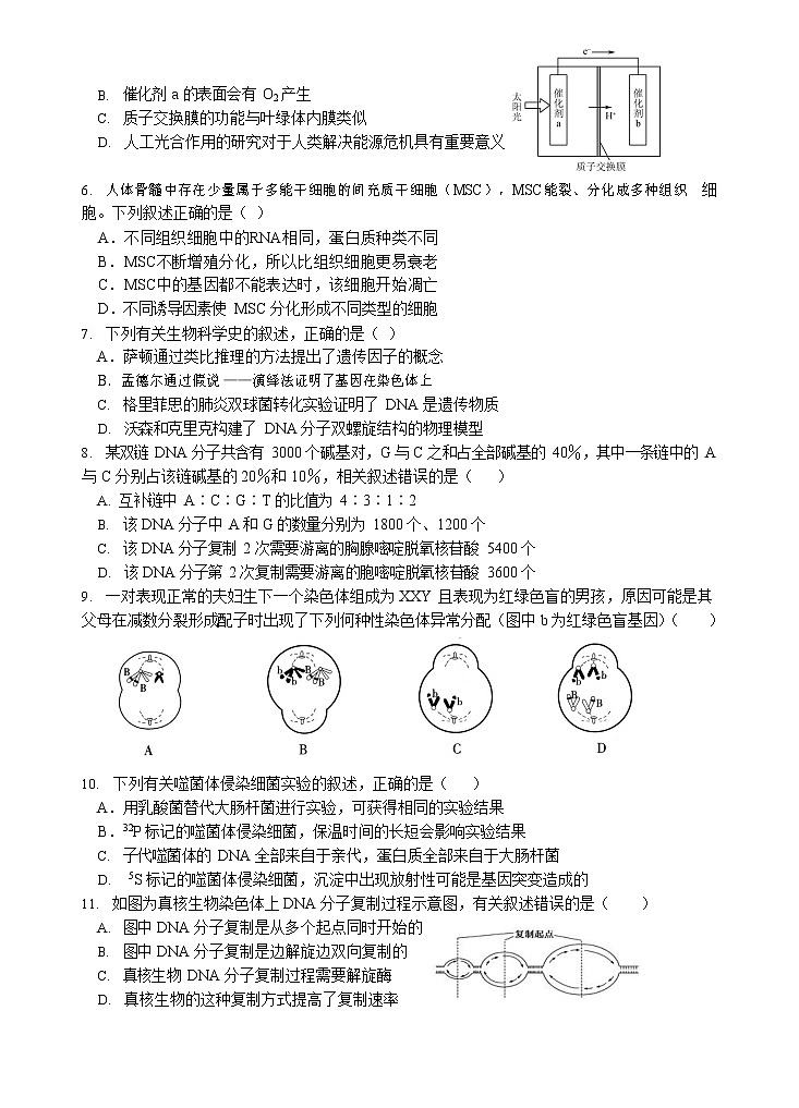 江苏省启东中学2020-2021学年高一下学期第一次阶段测试生物试题03