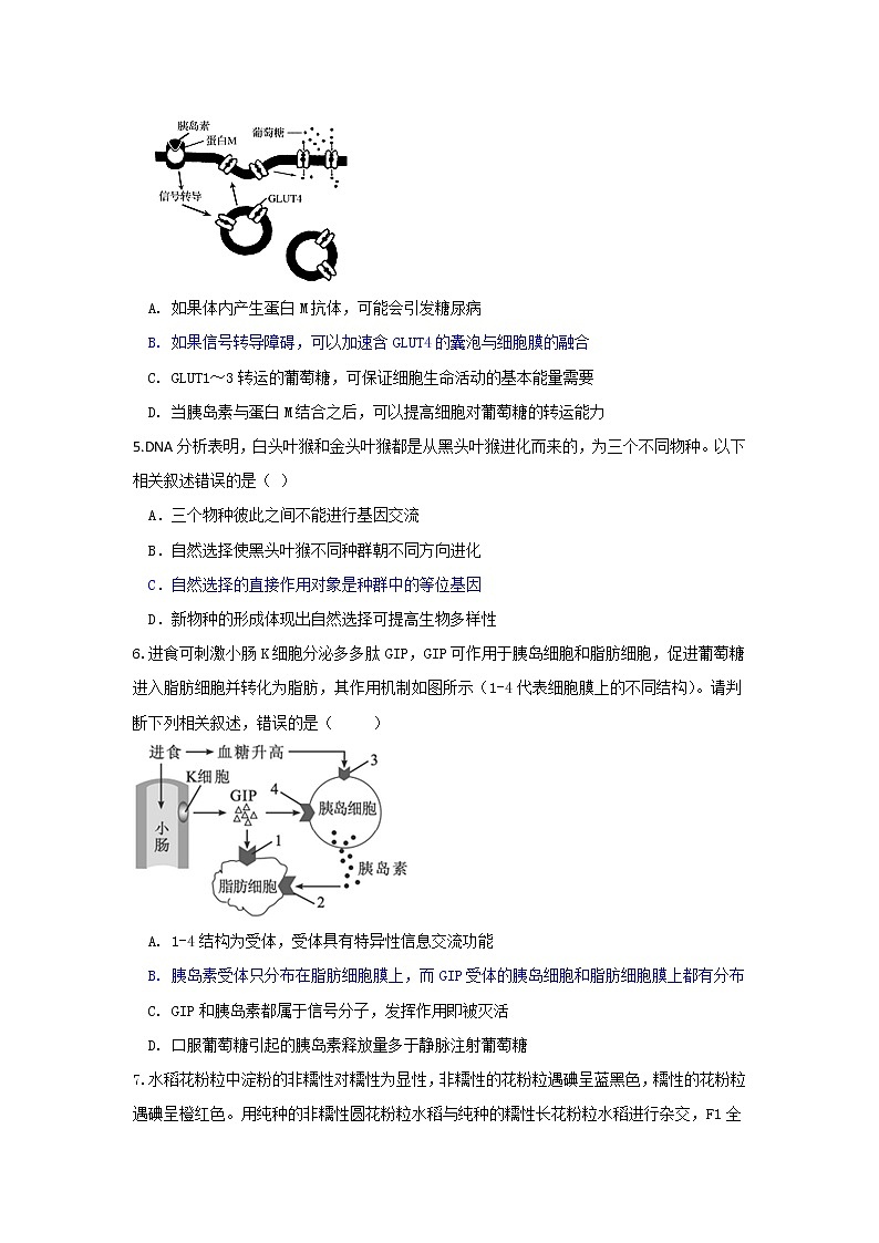 2021年高考八省大联考最新题型适应性考试生物试题二（有答案）第2页