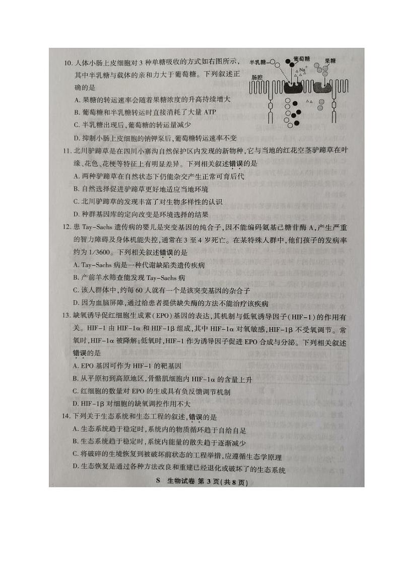 江苏省2021届高三4月第二次适应性考试生物试题（含答案  图片版）03