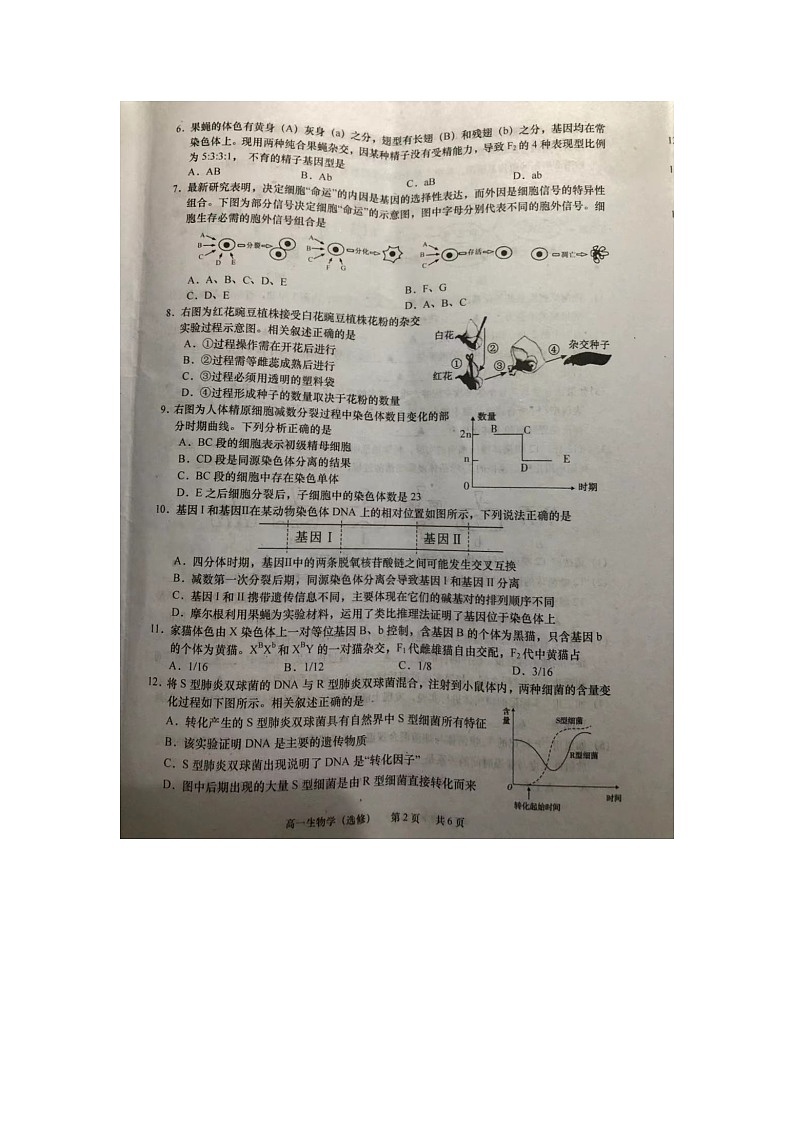 江苏省如皋市2020-2021学年高一年级下学期质量调研（一）生物试题（选修）含答案第2页