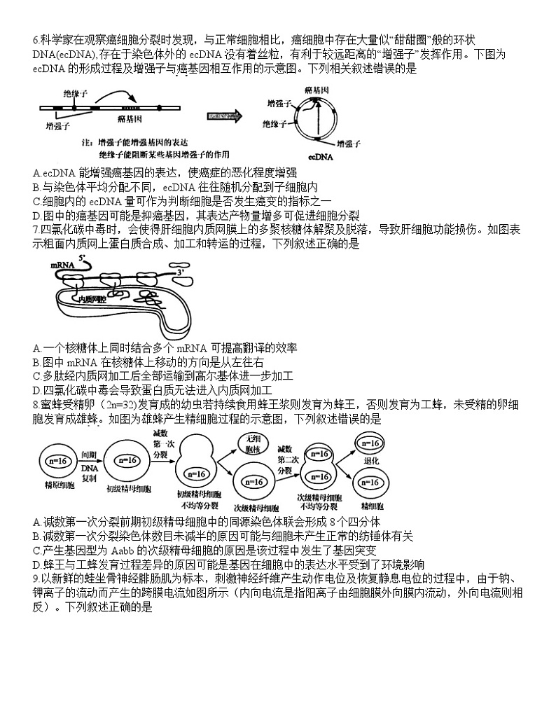 江苏省苏锡常镇四市2020-2021学年高三3月教学情况调研（一）生物试卷02