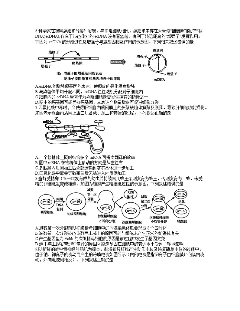 江苏省苏锡常镇四市2020-2021学年高三3月教学情况调研（一）生物试卷（word版）02