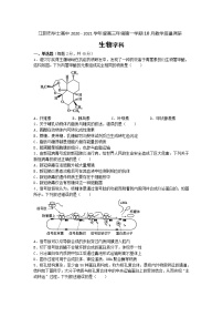 江苏省江阴市华士高中2020-2021学年度高三年级第一学期10月教学质量调研生物试卷（无答案）