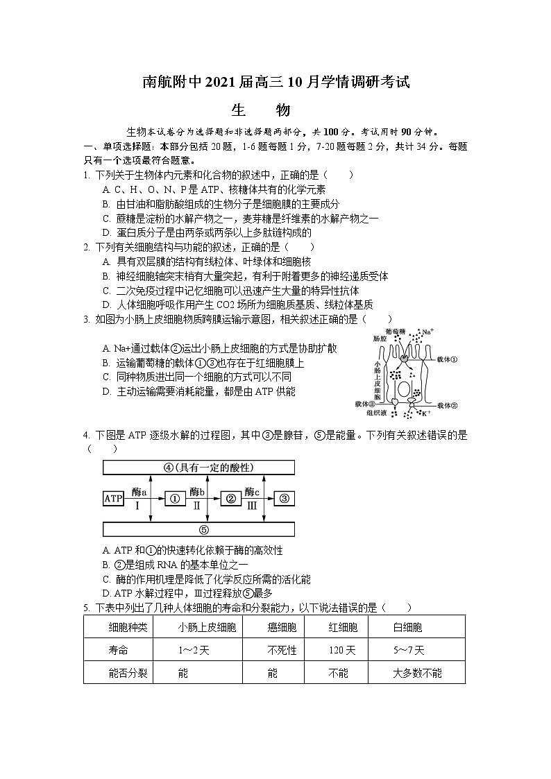 江苏省南航附中2020-2021学年高三10月学情调研生物试卷01
