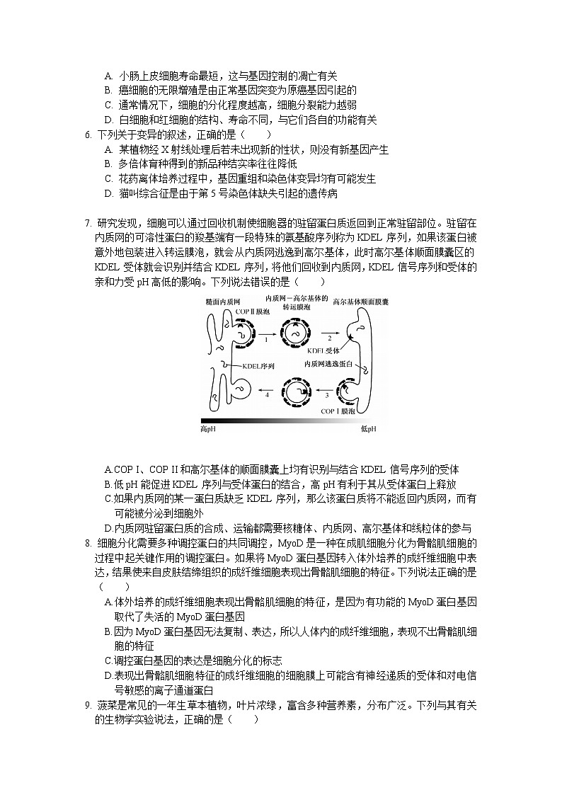 江苏省南航附中2020-2021学年高三10月学情调研生物试卷02