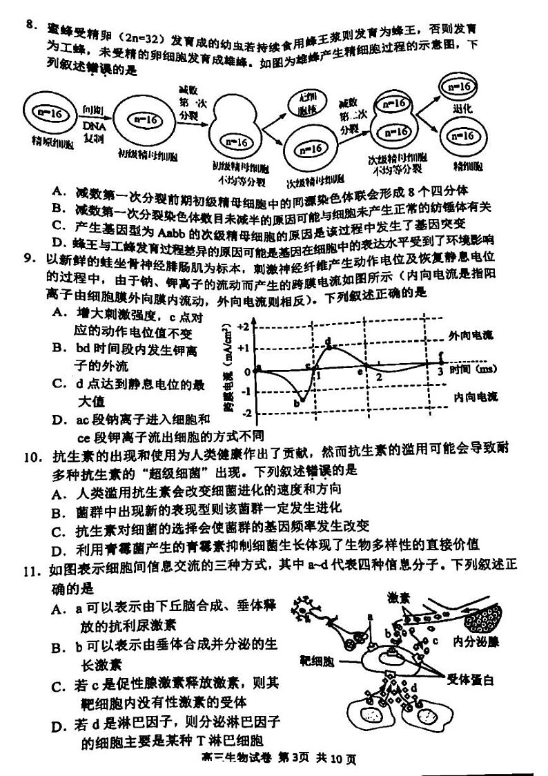 江苏省苏锡常镇四市2020-2021学年高三教学情况调研（一）生物试卷 含答案 图片版03