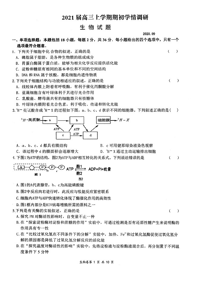 江苏省扬州市2021届高三期初考试生物调研试卷（图片版含答案01