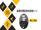 1.1 孟德尔豌豆杂交实验 (一)  课件【新教材】 2020-2021学年人教版（2019）高一生物必修二