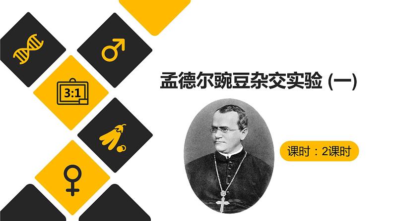 1.1 孟德尔豌豆杂交实验 (一)  课件【新教材】 2020-2021学年人教版（2019）高一生物必修二第1页