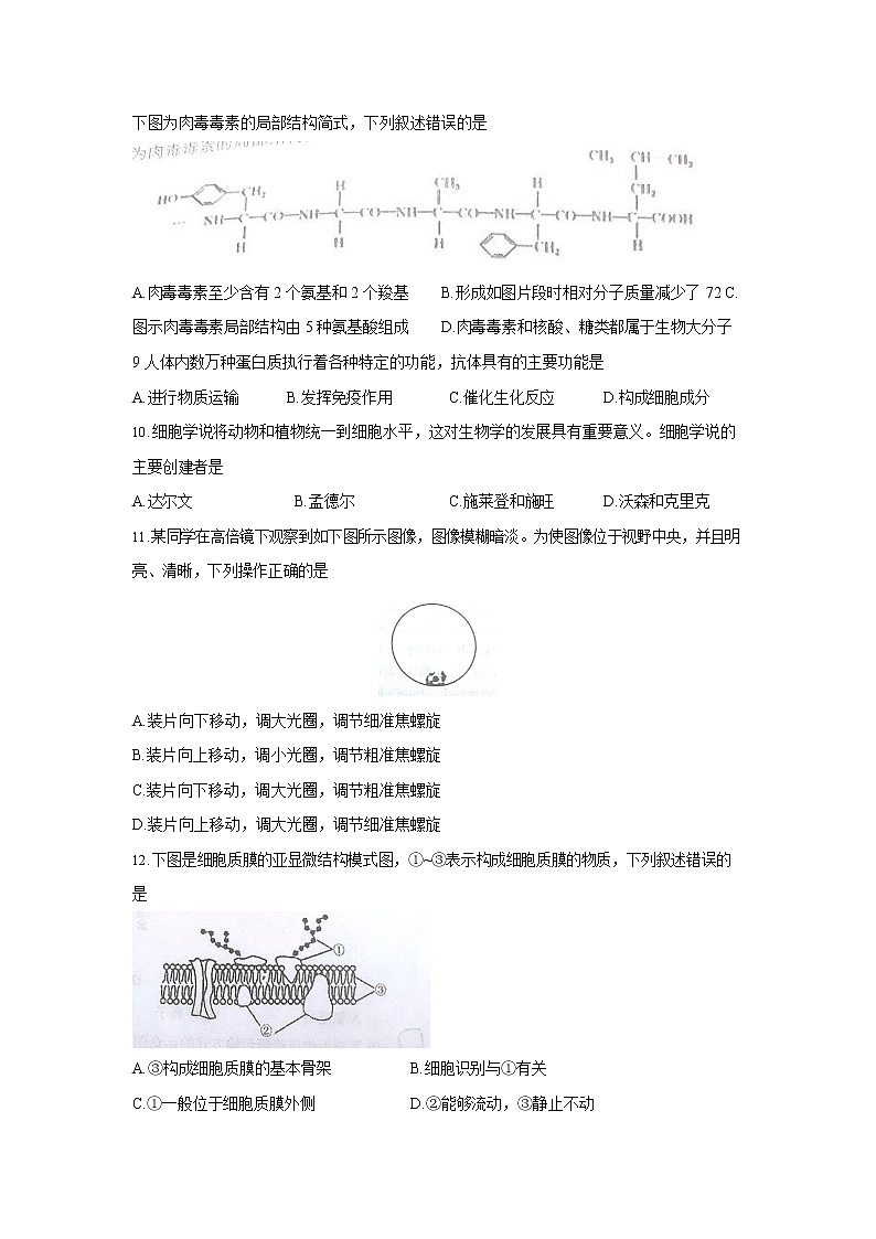 江苏省南京市2020-2021学年高一上学期期末考试生物试题02
