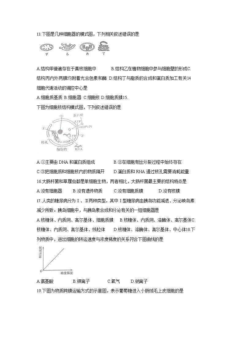 江苏省南京市2020-2021学年高一上学期期末考试生物试题03