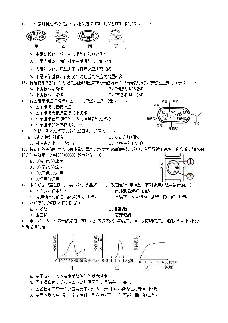 江苏省盐城市伍佑中学2020-2021学年高一上学期期末考试生物试题（word版）02