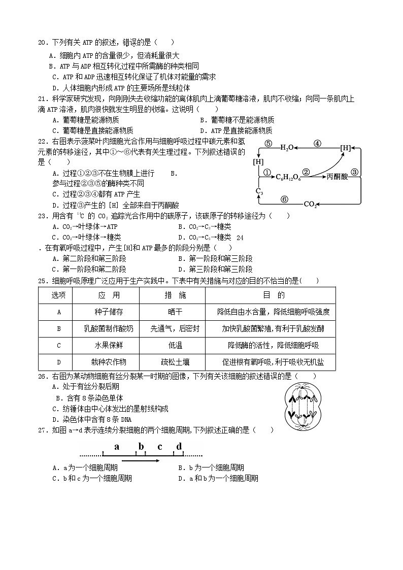 江苏省盐城市伍佑中学2020-2021学年高一上学期期末考试生物试题（word版）03