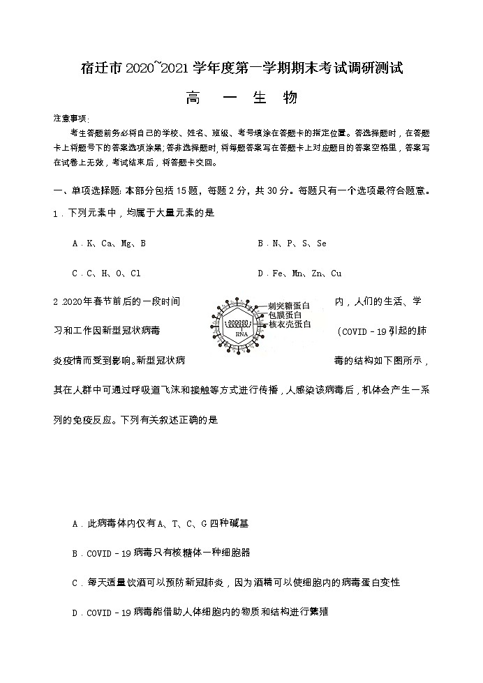 江苏省宿迁市2020_2021学年度第一学期期末考试高一生物试卷01