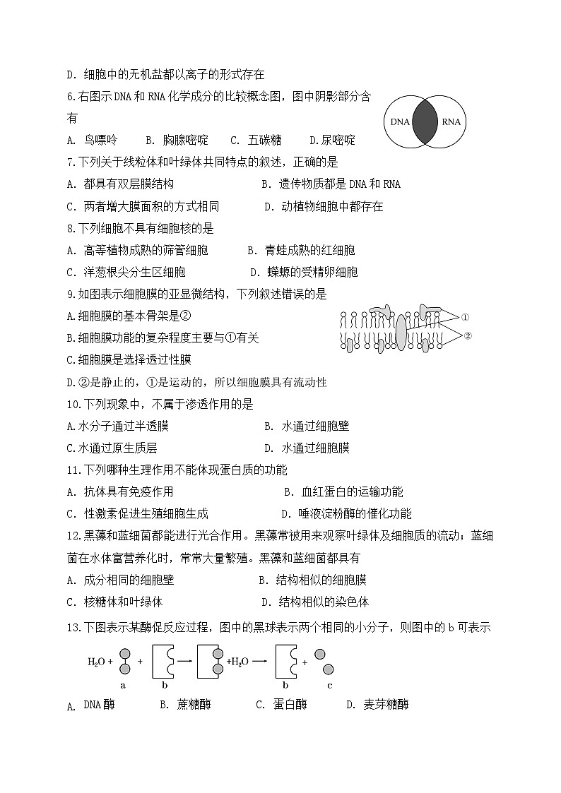 江苏省盐城市响水中学2020-2021学年高一上学期期末考试生物试题02