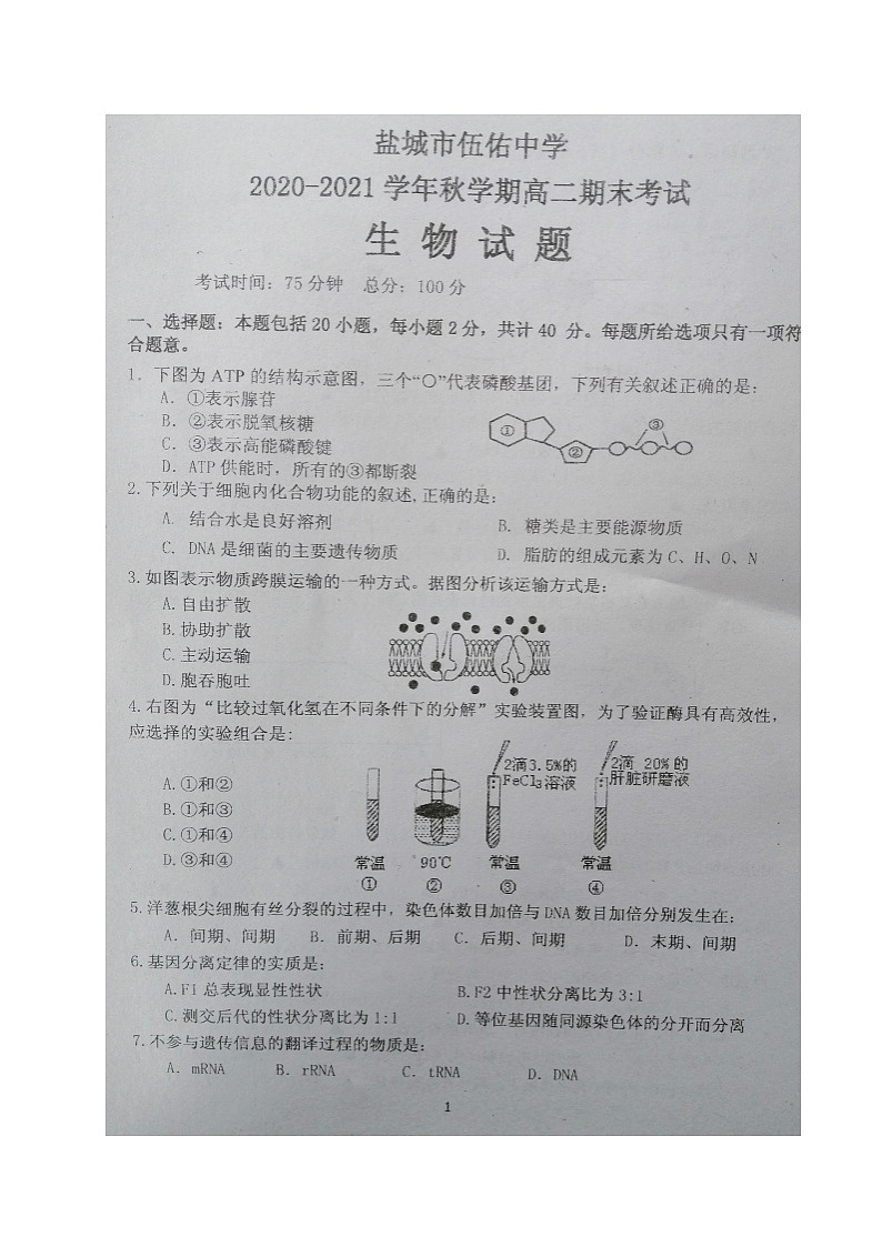 江苏省盐城市伍佑中学2020-2021学年高二上学期期末考试生物试题（图片版）01
