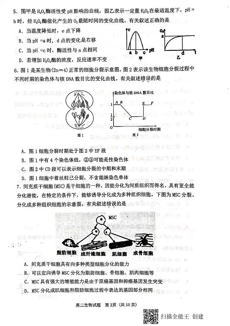 江苏省连云港市2020-2021学年高二上学期期末调研考试生物试题（图片版）02