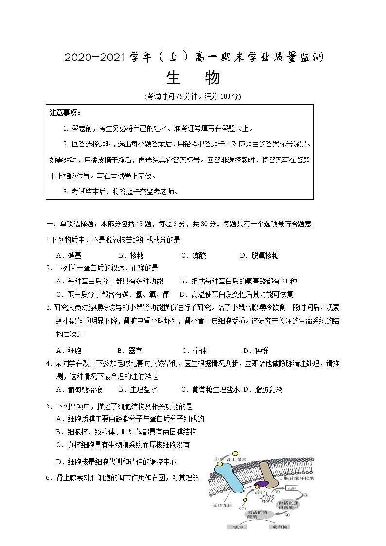 江苏省启东市、通州区2020-2021学年高一上学期期末学业质量监测生物试题01