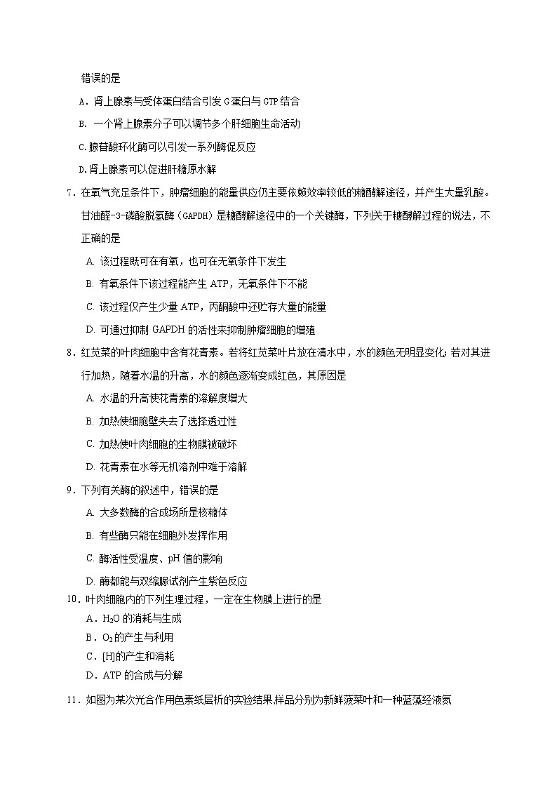 江苏省启东市、通州区2020-2021学年高一上学期期末学业质量监测生物试题02