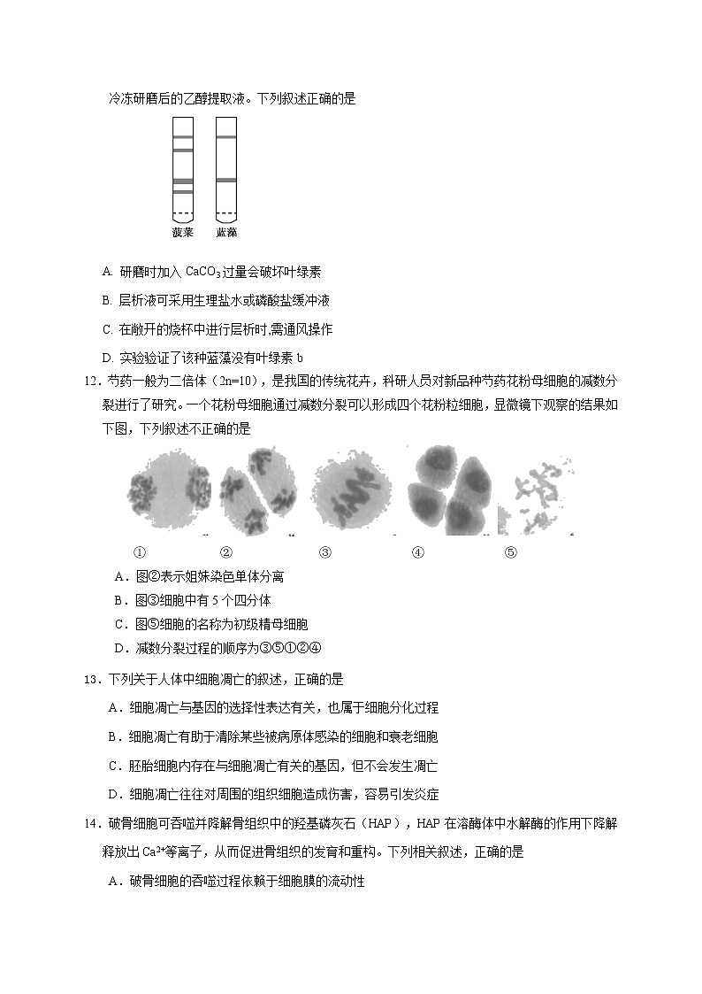 江苏省启东市、通州区2020-2021学年高一上学期期末学业质量监测生物试题03