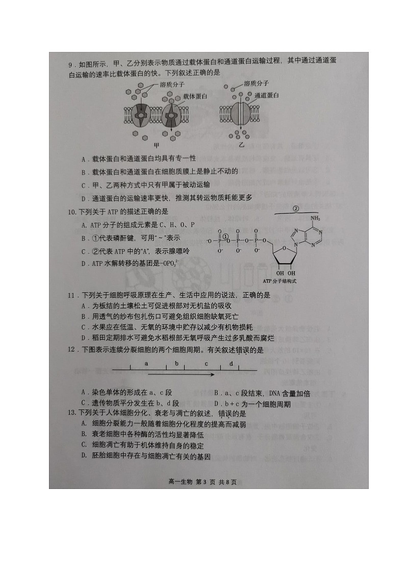 江苏省宿迁市2020-2021学年高一上学期期末考试生物试题（图片版，无答案）03