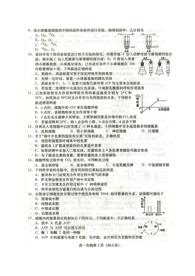 江苏省盐城市阜宁县2020-2021学年高一上学期期末学情调研生物试题（扫描版）第2页
