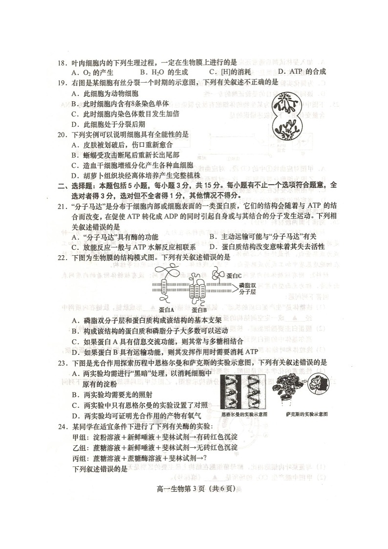 江苏省盐城市阜宁县2020-2021学年高一上学期期末学情调研生物试题（扫描版）第3页