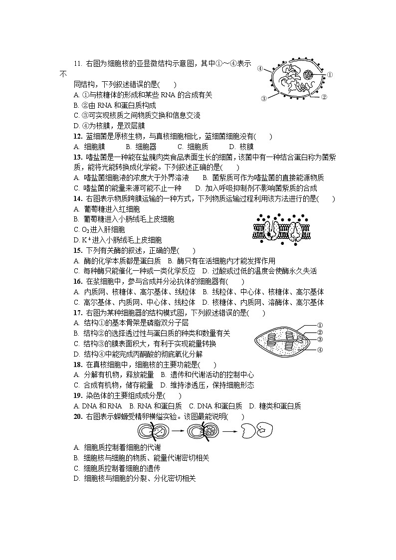 江苏省吴江汾湖高级中学2020-2021学年高一假期自主学习竞赛生物试卷02