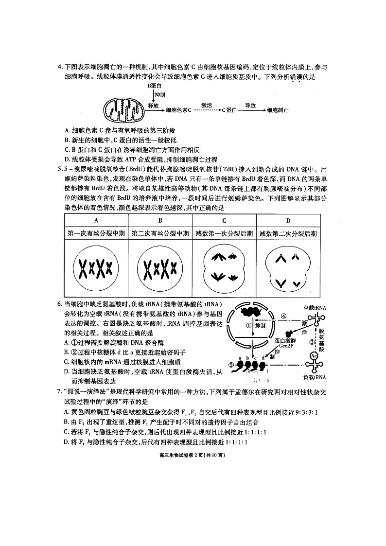 江苏省无锡市普通高中2021年开学高三教学质量检测试卷生物试题第2页