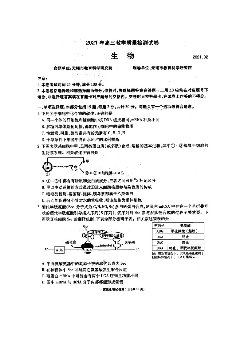 江苏省无锡市普通高中2021年高三开学教学质量检测试卷生物试题01