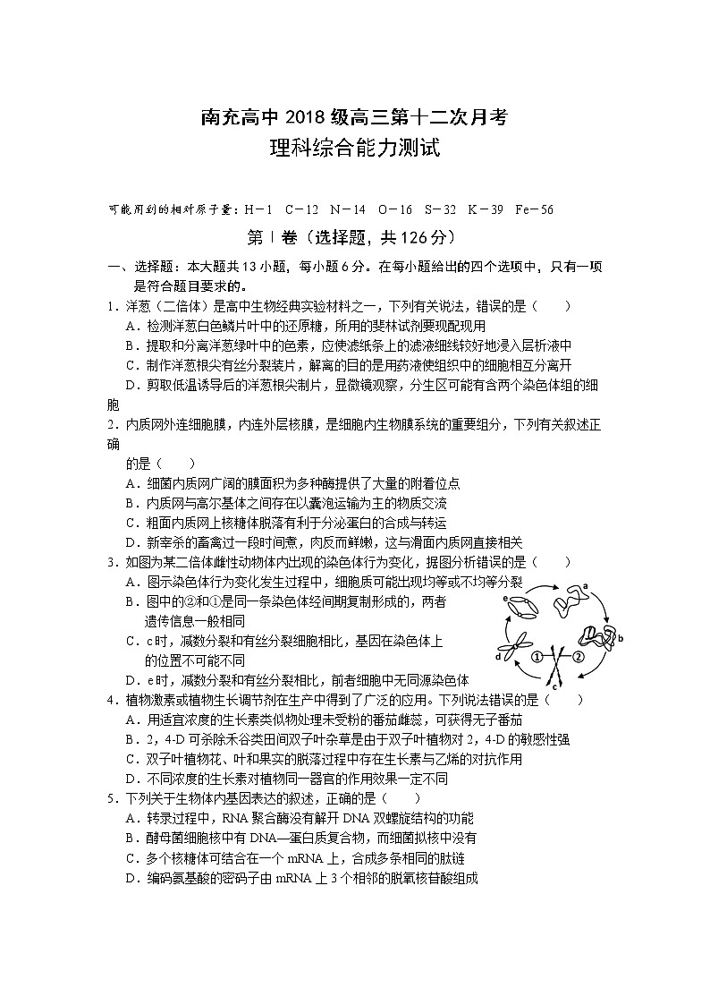 2021届四川省南充高级中学高三第（12）次月考理综生物试卷（含答案）01