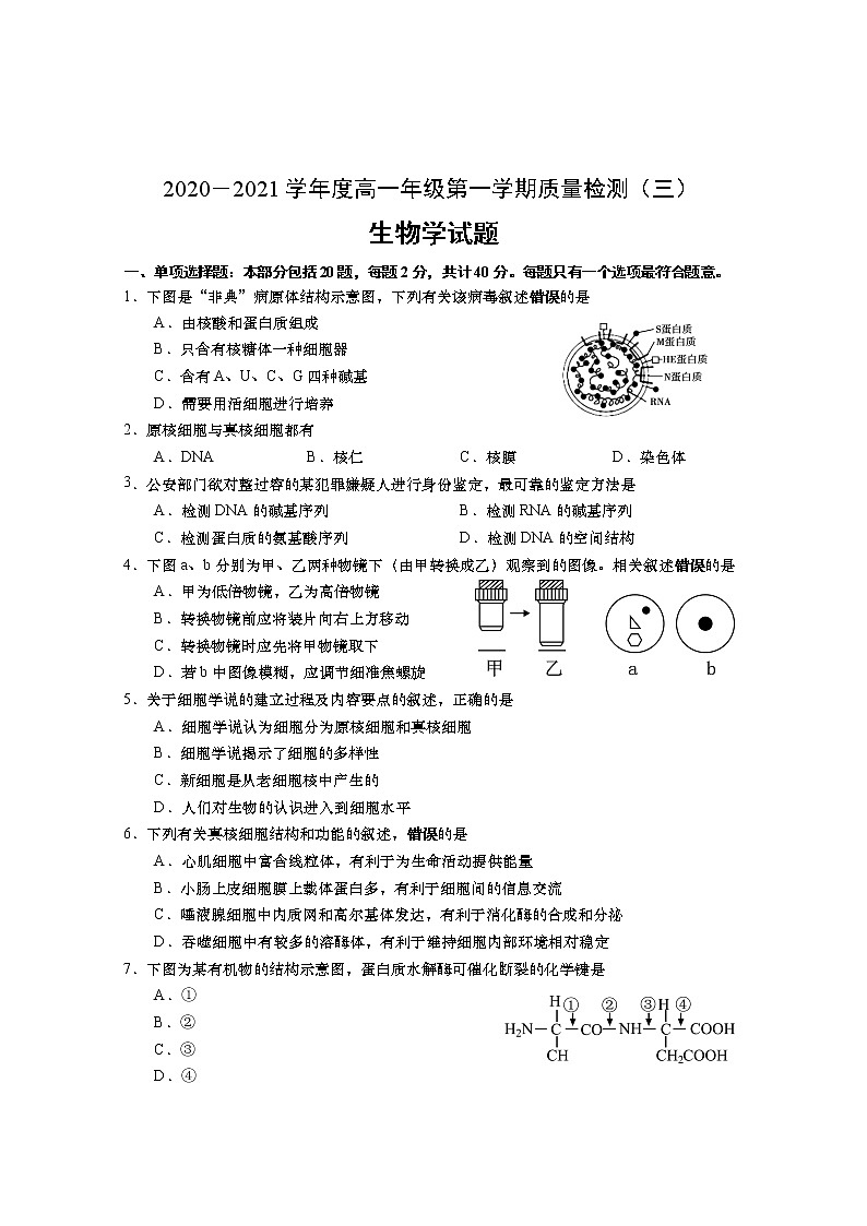 江苏省如皋中学2020-2021学年度高一年级第一学期教学质量调研（三）生物试卷（有答案）01