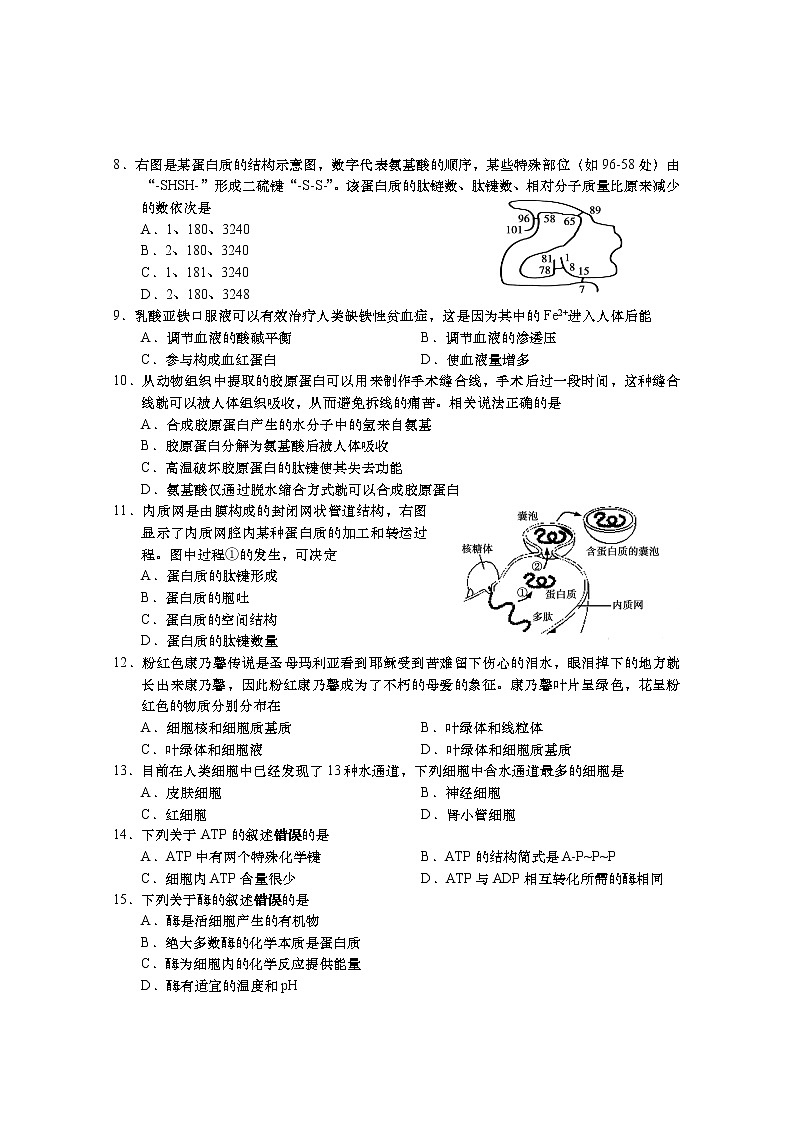 江苏省如皋中学2020-2021学年度高一年级第一学期教学质量调研（三）生物试卷（有答案）02