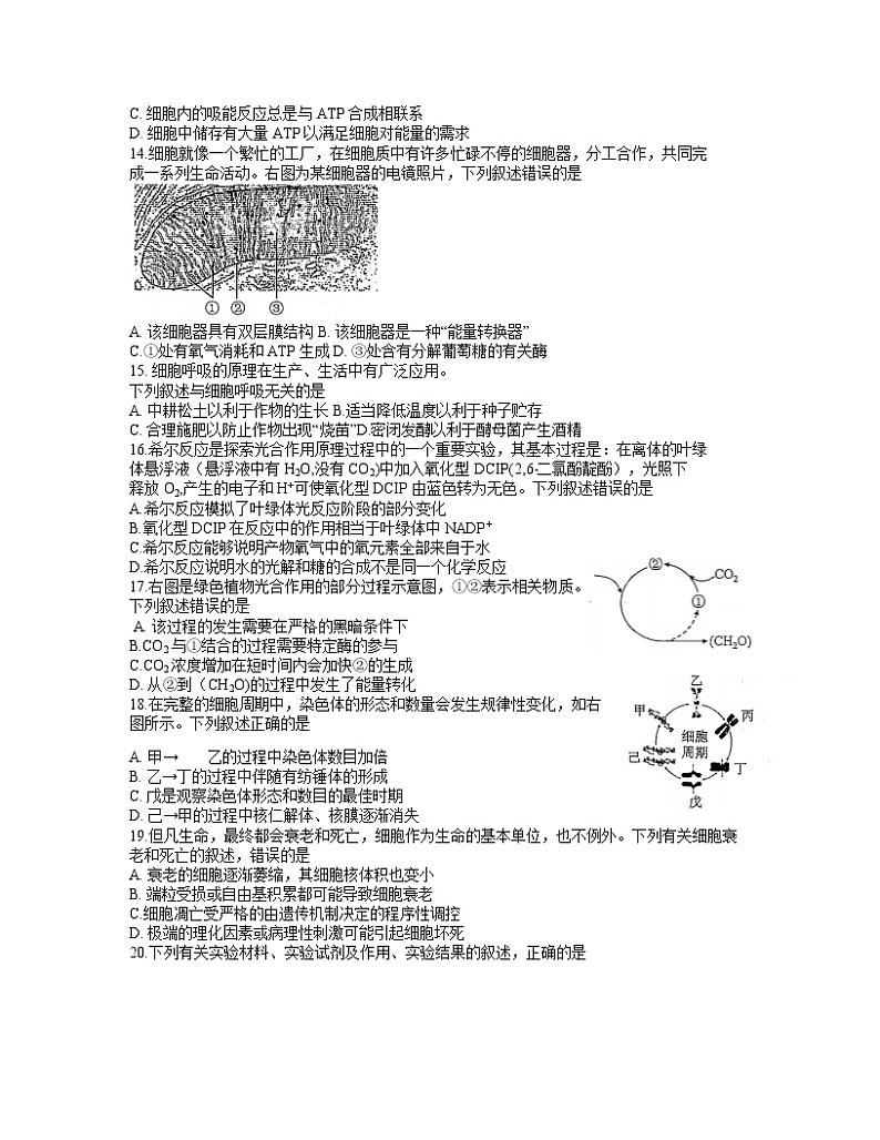 江苏省苏州市2020-2021学年高一第一学期学业质量阳光指标调研考试生物试卷 word03