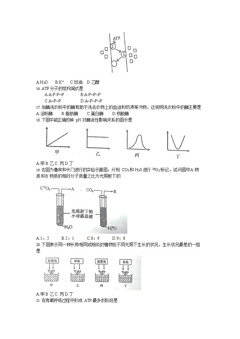 江苏省南京外国语学校2020-2021学年高一上生物期末试卷03