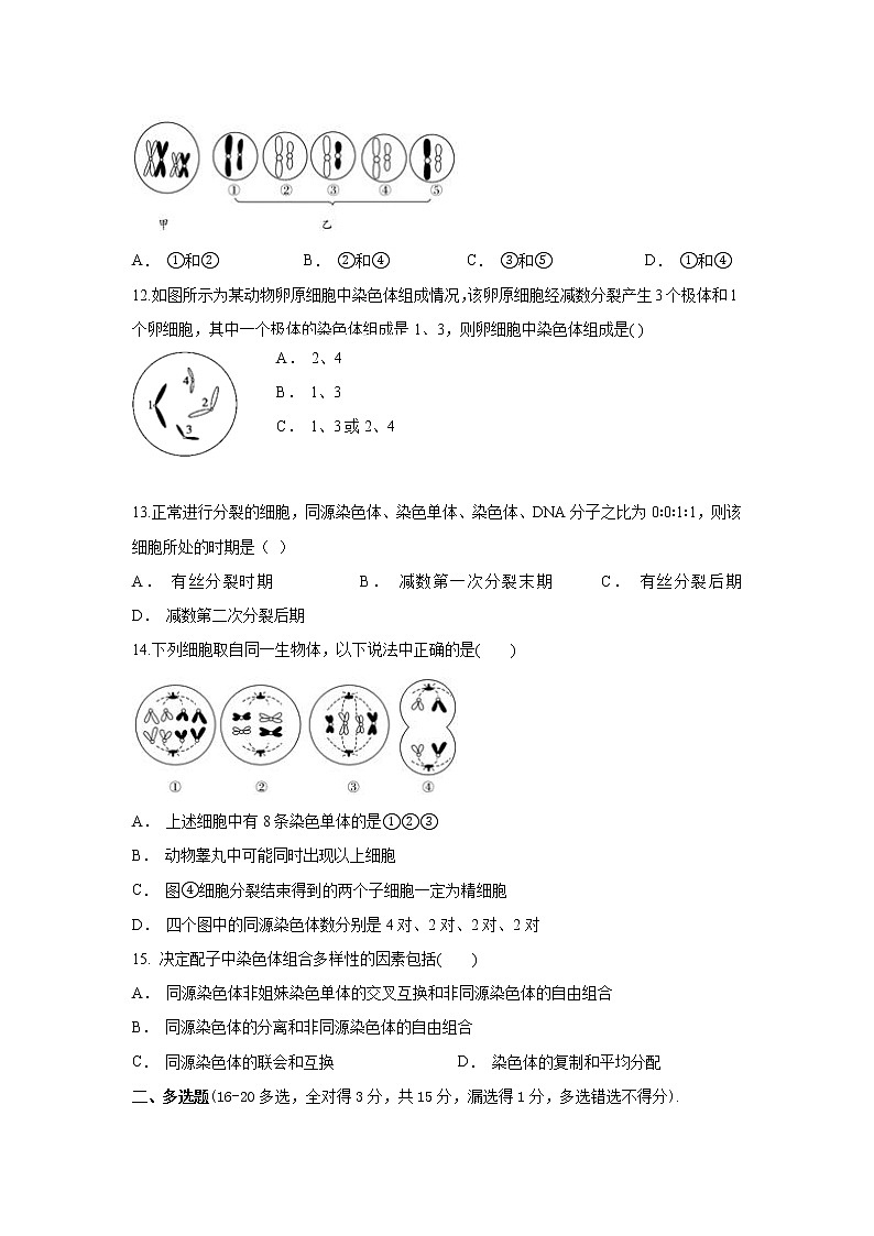 江苏省苏州市陆慕高级中学2020-2021学年高一下学期3月月考生物试卷03