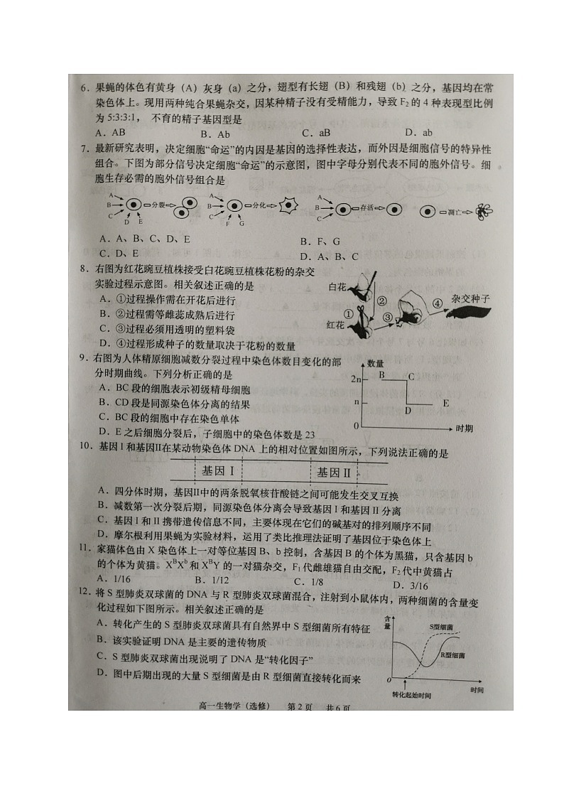 江苏省如皋市2020-2021学年高一下学期第一次月考生物（选修）试题（图片版）02