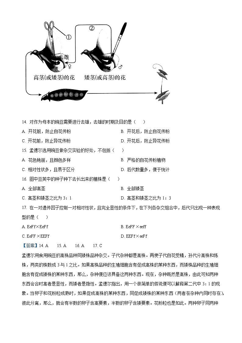 江苏省南通市如皋市2020-2021学年高一下学期第一次月考生物（必修）试题03