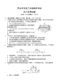 陕西省西安中学高二生物下学期期中试题