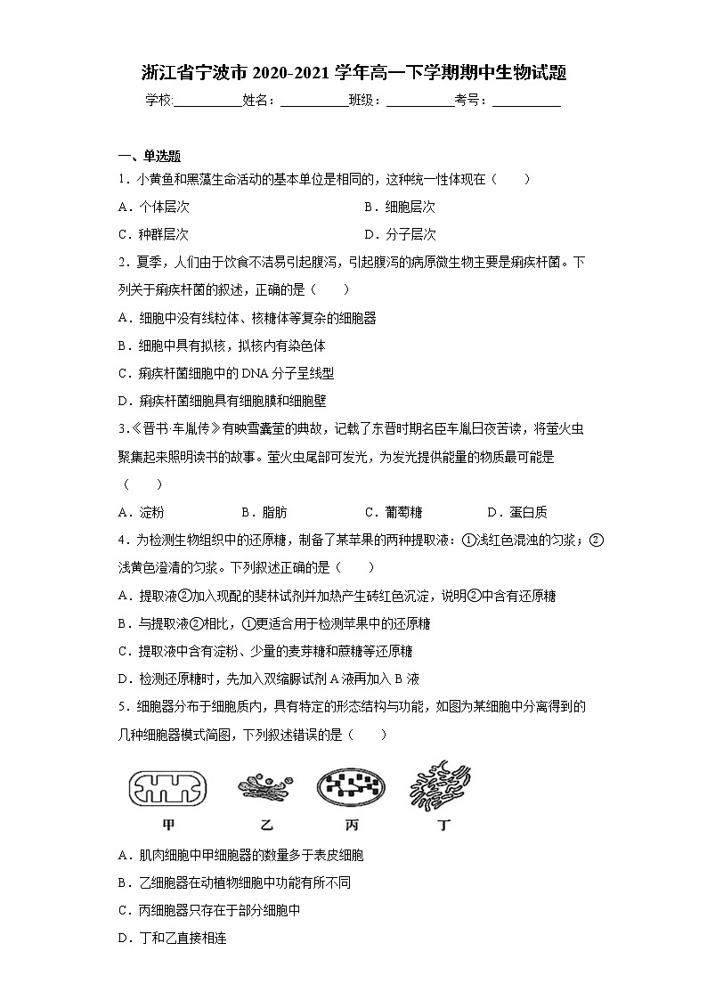 浙江省宁波市2020-2021学年高一下学期期中生物试题（word版 含答案）01