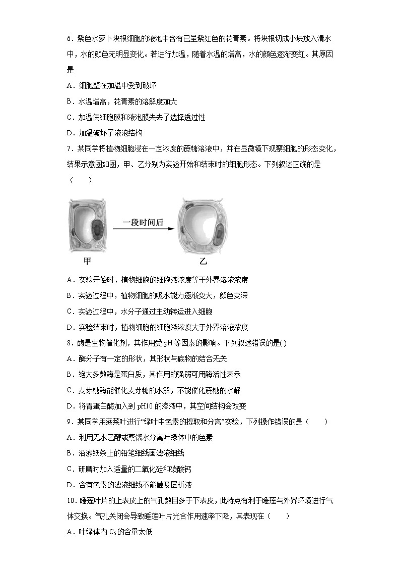 浙江省宁波市2020-2021学年高一下学期期中生物试题（word版 含答案）02