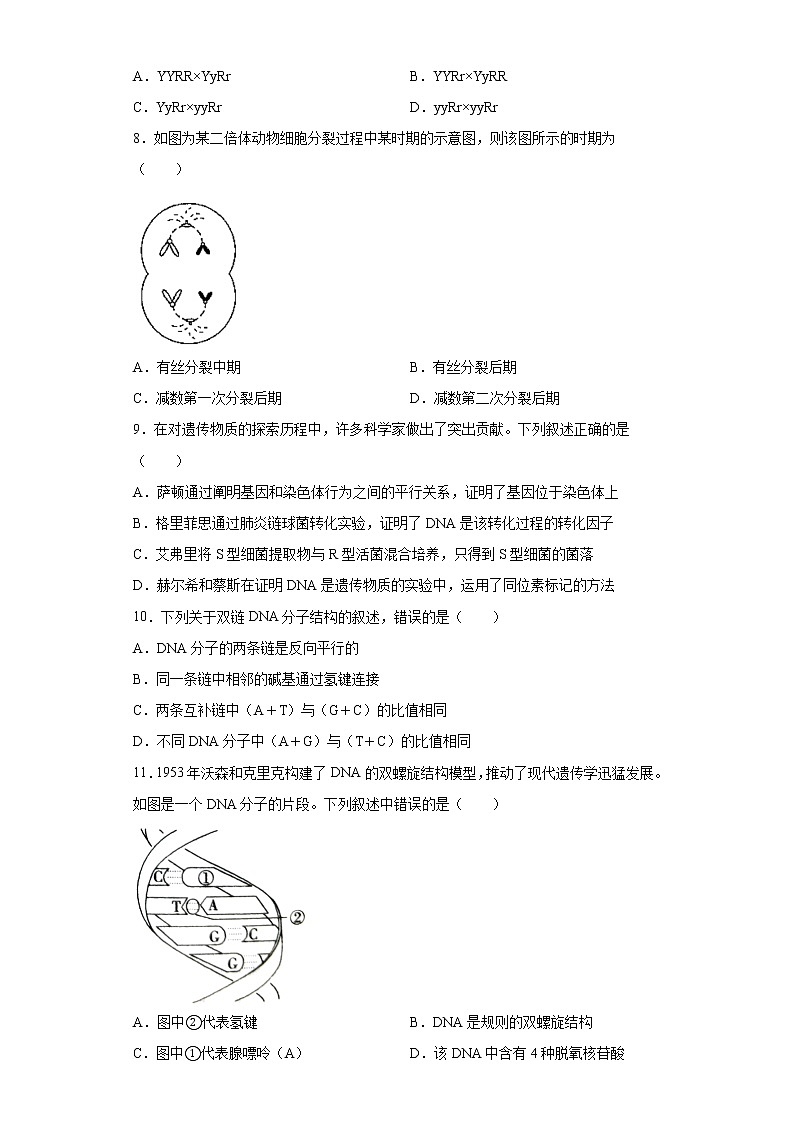山东省淄博市沂源县2020-2021学年高一下学期期中生物试题（word版 含答案）02
