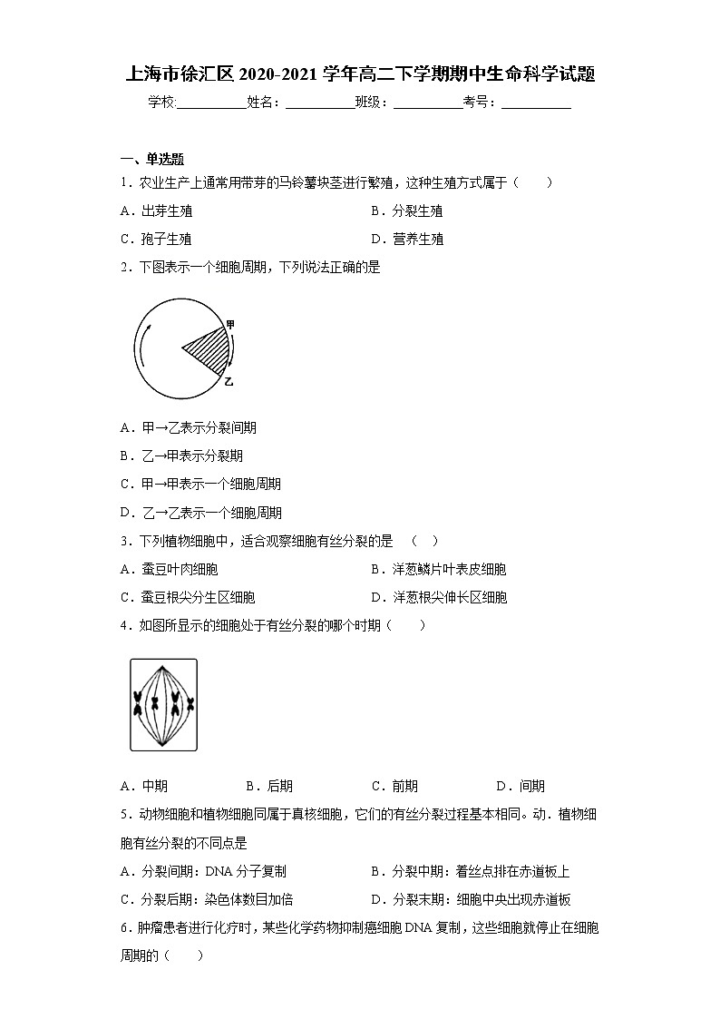 上海市徐汇区2020-2021学年高二下学期期中生命科学试题（word版 含答案）01