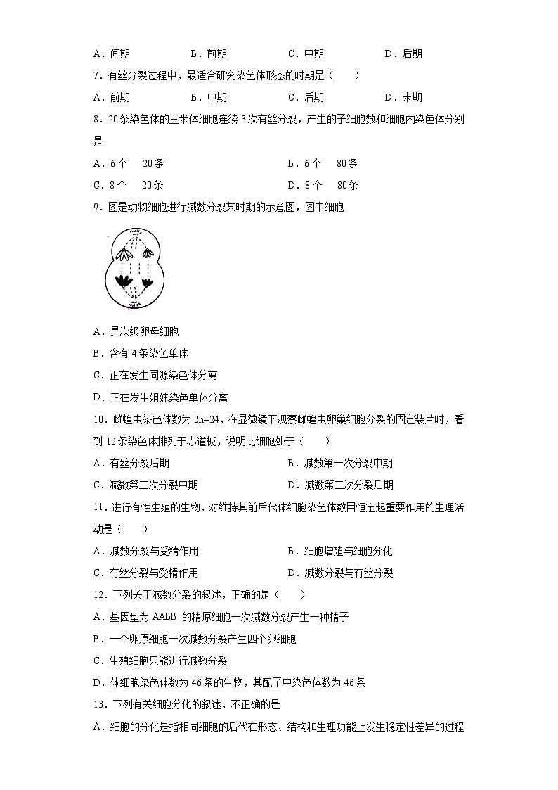 上海市徐汇区2020-2021学年高二下学期期中生命科学试题（word版 含答案）02