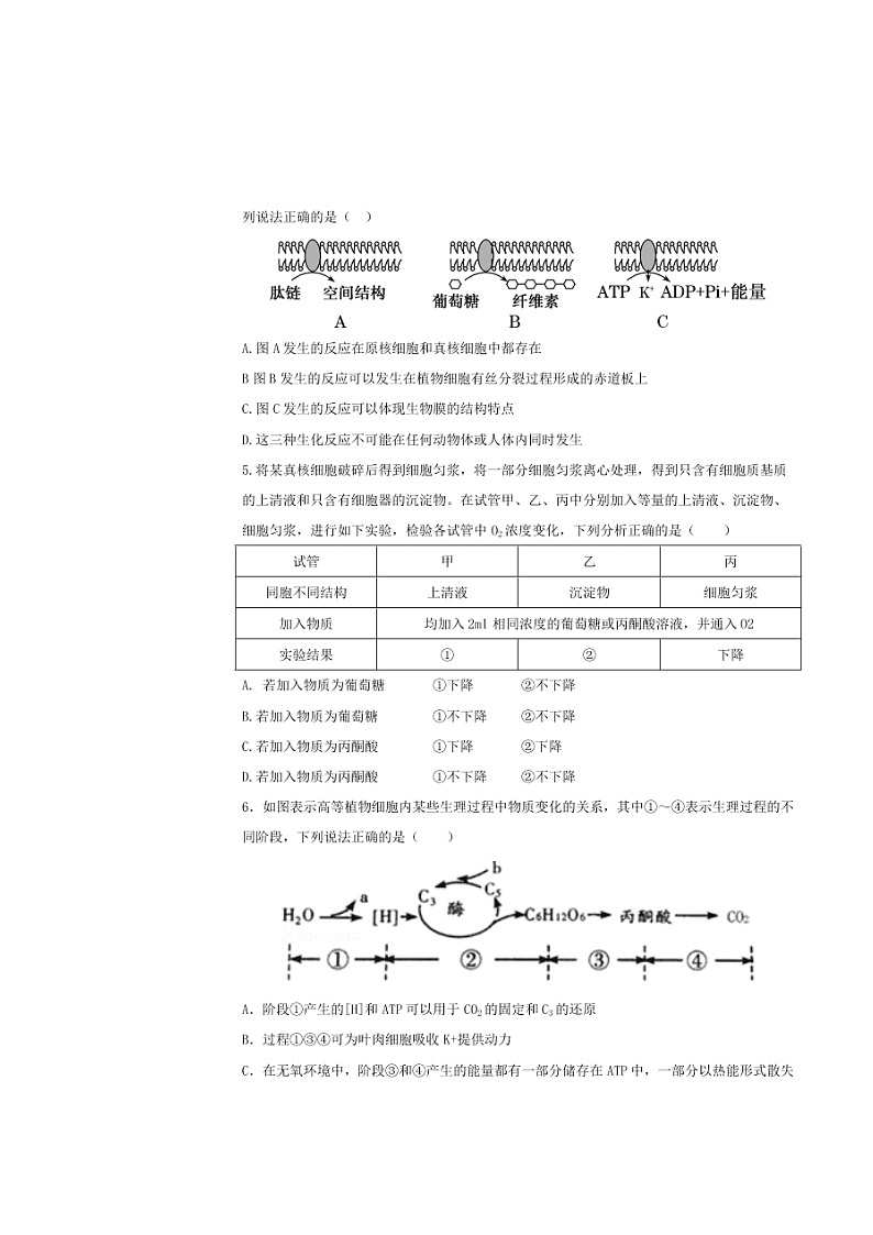 湖北省新高考联考协作体2020-2021高二生物上学期开学联考试题（Word版附答案）02