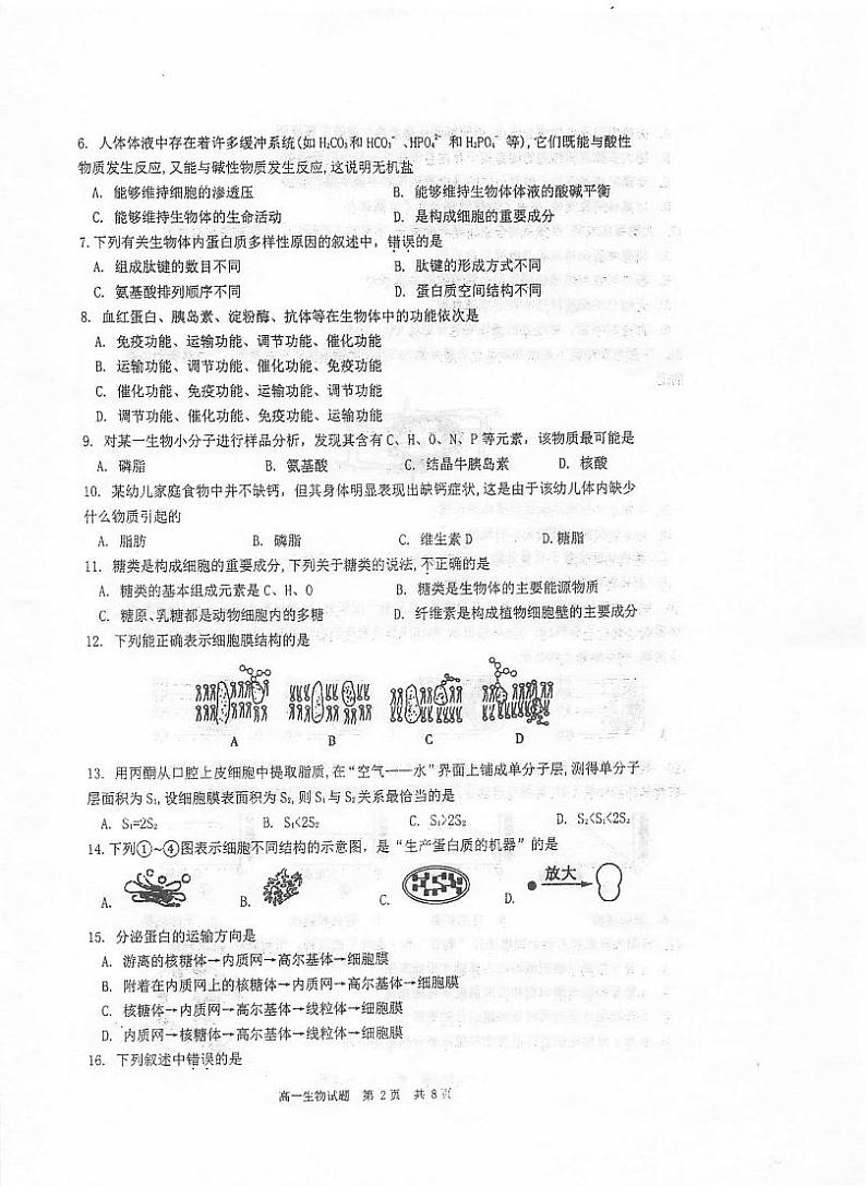 江苏省泰州中学2020-2021学年高一上学期期末考试生物试题（扫描版）第2页
